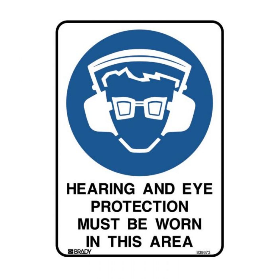 Picture of Hearing And Eye Protection Must Be Worn In This Area (Metal) H600mm x W450mm