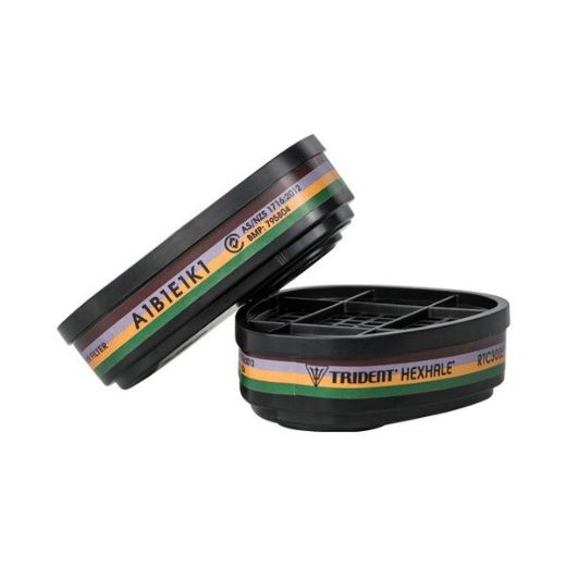 Picture of TRIDENT® HEXHALE® Multi Gas Vapour A1B1E1K1 Filter